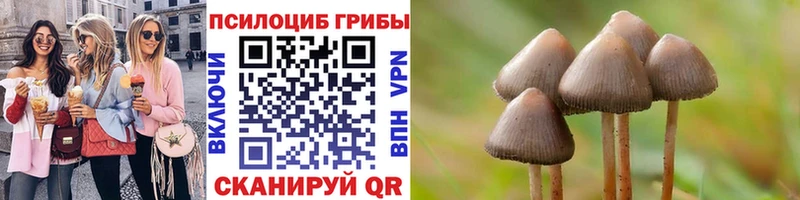 Псилоцибиновые грибы мицелий  Рудня 